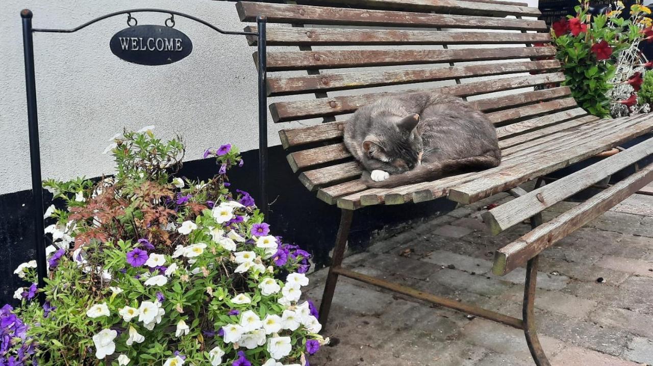 Rustiek Andijk Bed & Breakfast Eksteriør bilde